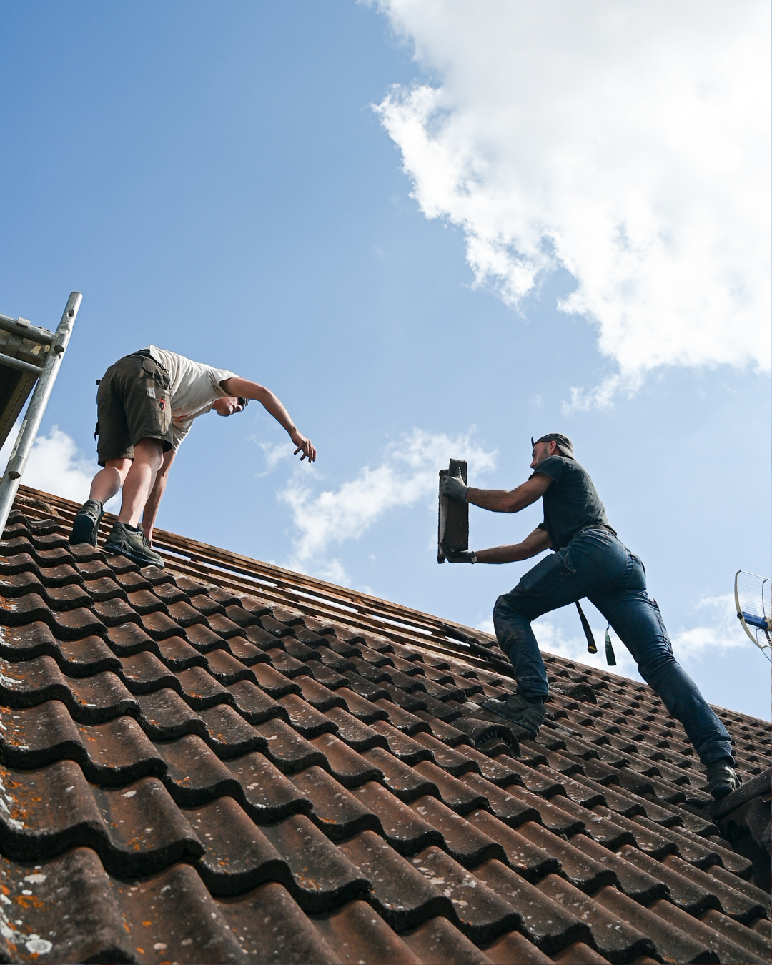IDÉPRO Habitat recrute