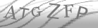 captcha-2