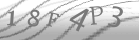captcha-2