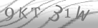 captcha-2