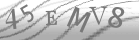 captcha-2