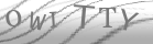 captcha-2