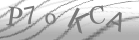 captcha-2