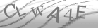 captcha-2
