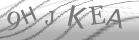 captcha-2