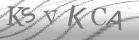 captcha-2