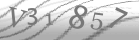 captcha-2