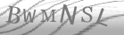 captcha-3