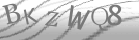 captcha-3