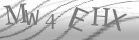 captcha-3