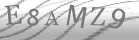 captcha-3