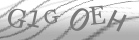 captcha-3
