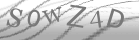 captcha-3