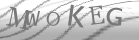 captcha-3
