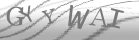 captcha-3