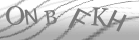 captcha-3