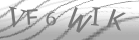 captcha-3