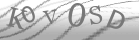 captcha-3