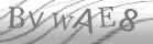 captcha-3