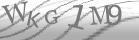 captcha-3