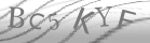 captcha-3