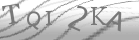 captcha-3