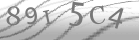 captcha-3
