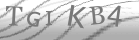 captcha-3
