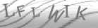 captcha-4