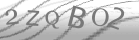 captcha-4