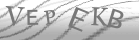 captcha-4