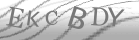 captcha-4