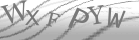 captcha-4