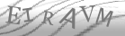 captcha-4