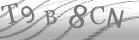 captcha-4