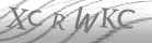captcha-4