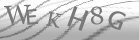 captcha-4