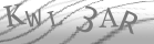 captcha-4