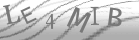 captcha-5