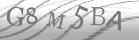 captcha-5
