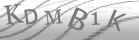 captcha-5
