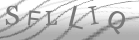 captcha-5