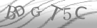 captcha-5