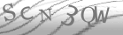 captcha-5
