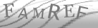 captcha-6