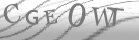 captcha-6