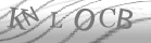 captcha-6