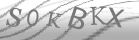 captcha-6