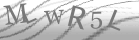 captcha-6