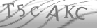 captcha-6
